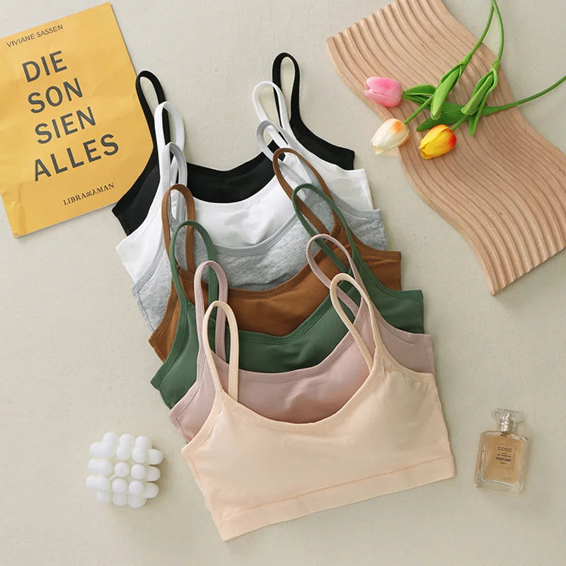 S07ea18cb0dd149d58344de4afbdfb353n