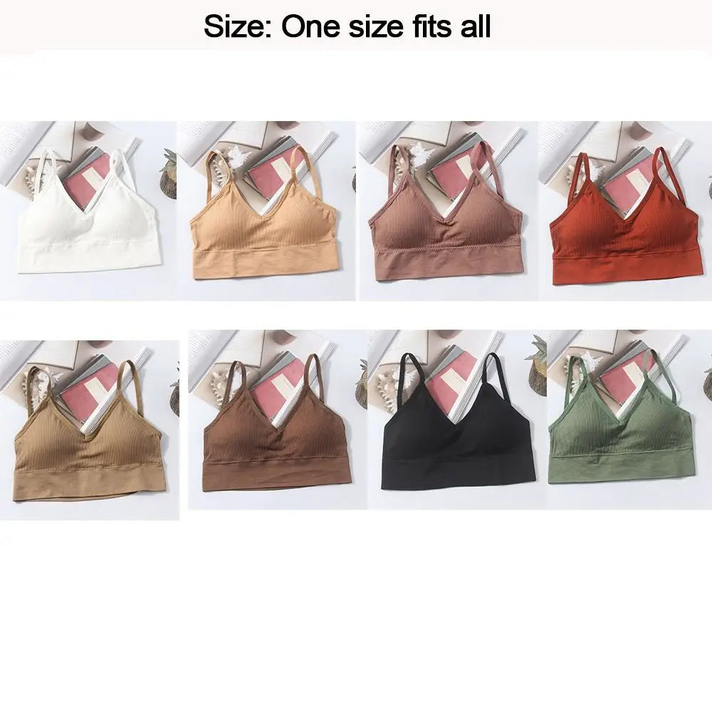 S242608b6a45843af968e2cd0ed4484103