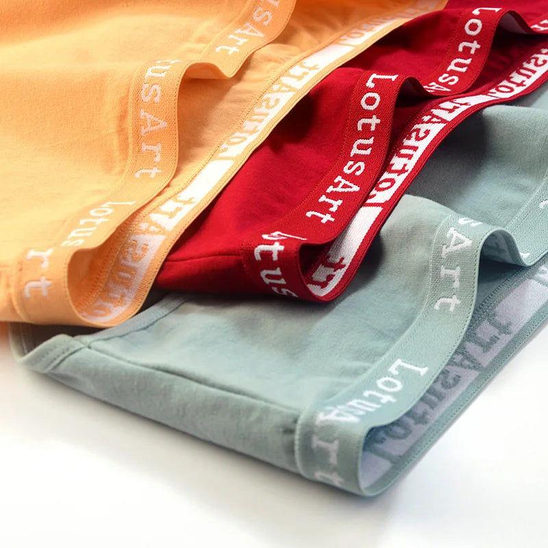 S2bd6c824023b42a79d8bdb3e8f36f7f9b