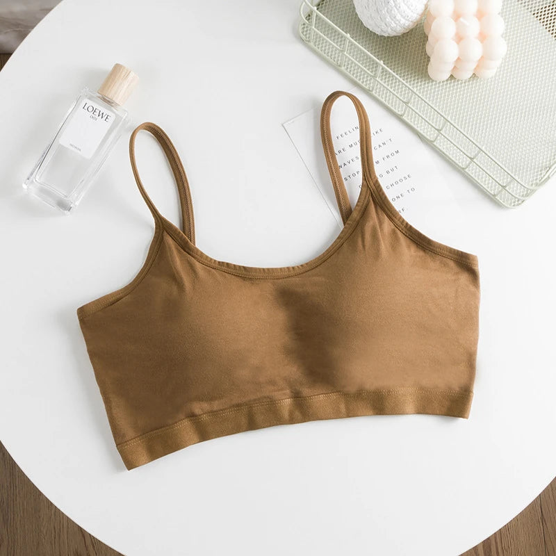 S2c415c9c0e714553a451e16e8fd6cb7el