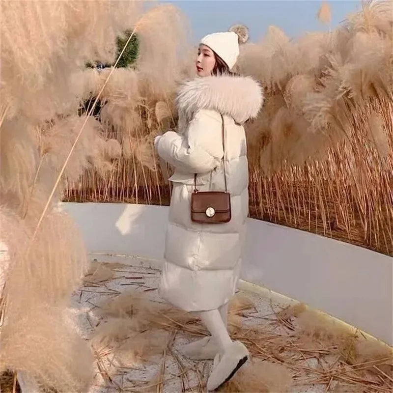 S3d01fee9dd59417b95ee3e1ca4e2b44cV