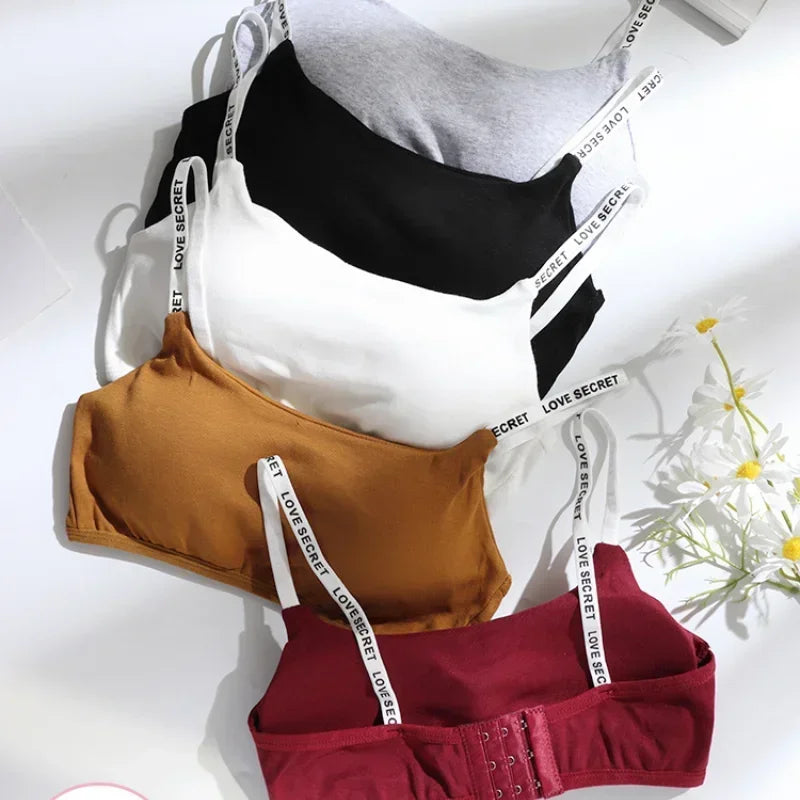 S3eabac3e9d30407082ed570496ee49fae