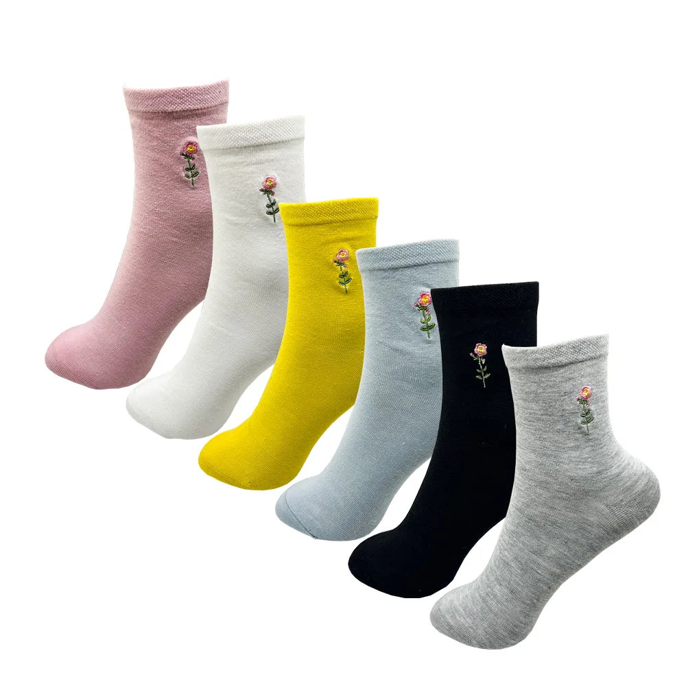 S462a61ef8fd042a19efa8feec48c6037U