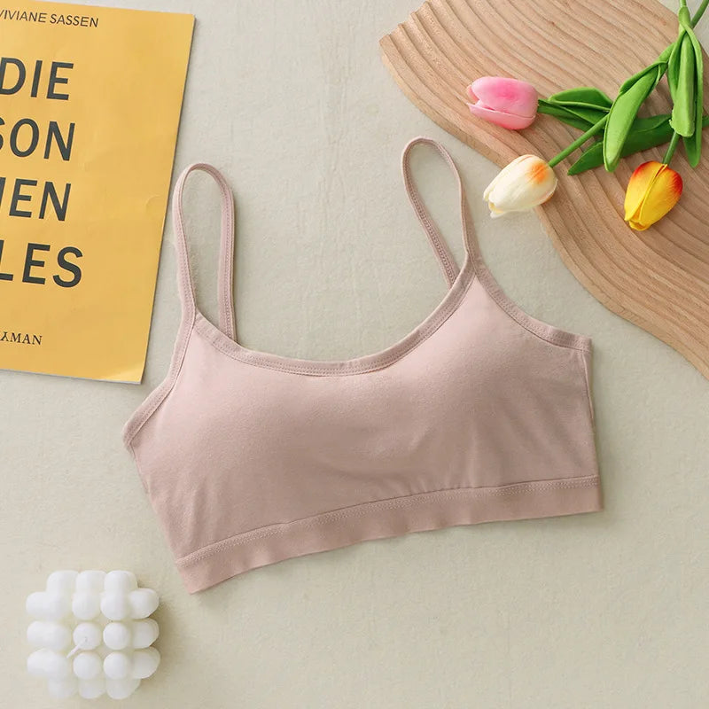 S4dfe6bca3fa242d1a86f55e478db189d6