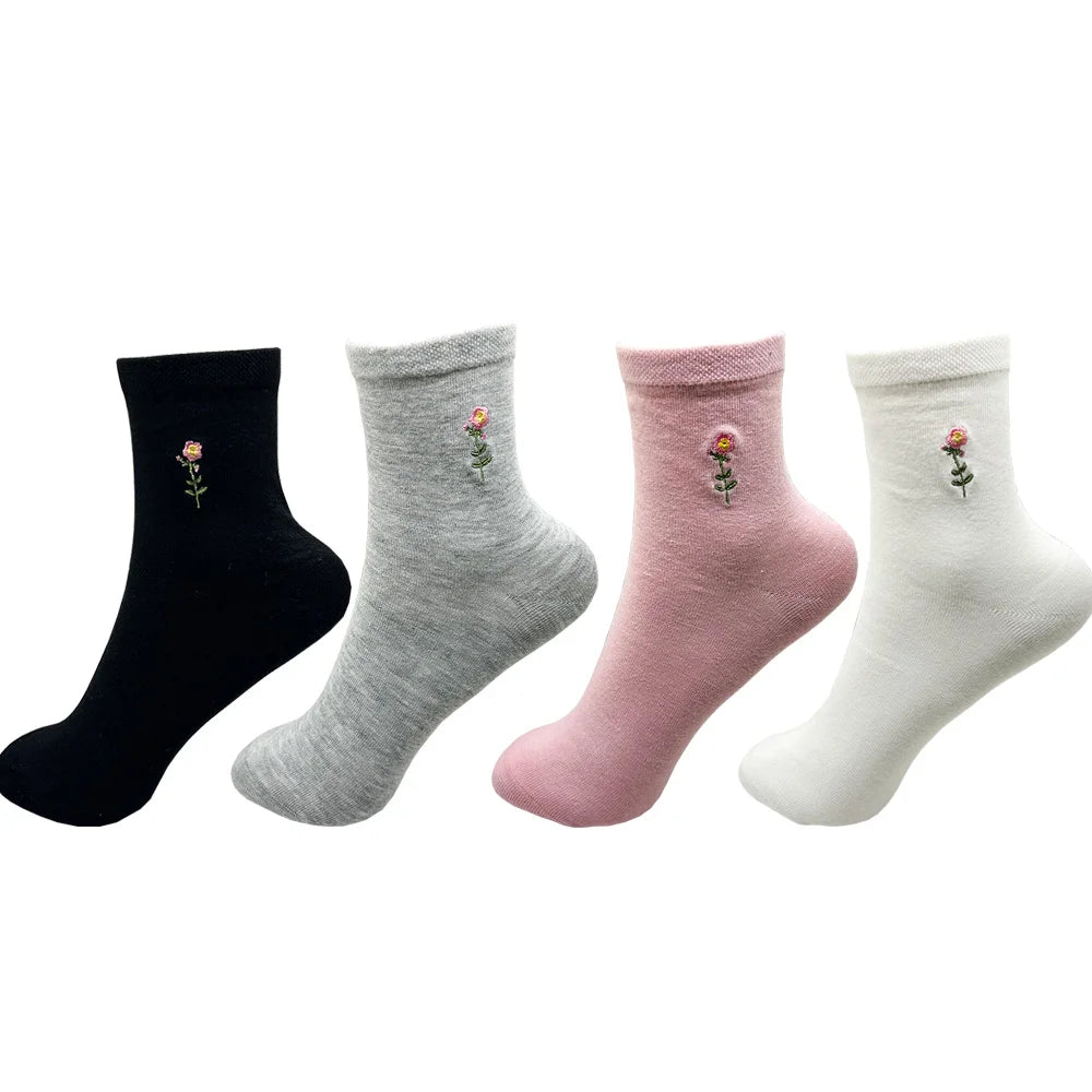 S56b3715cc24b4b3f9dcbd72bbe9ed3c7w