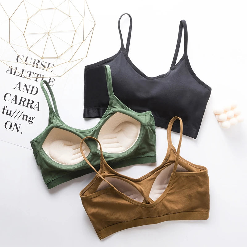 S6055f16840ec4dadbe9b8e9070ed61eaP