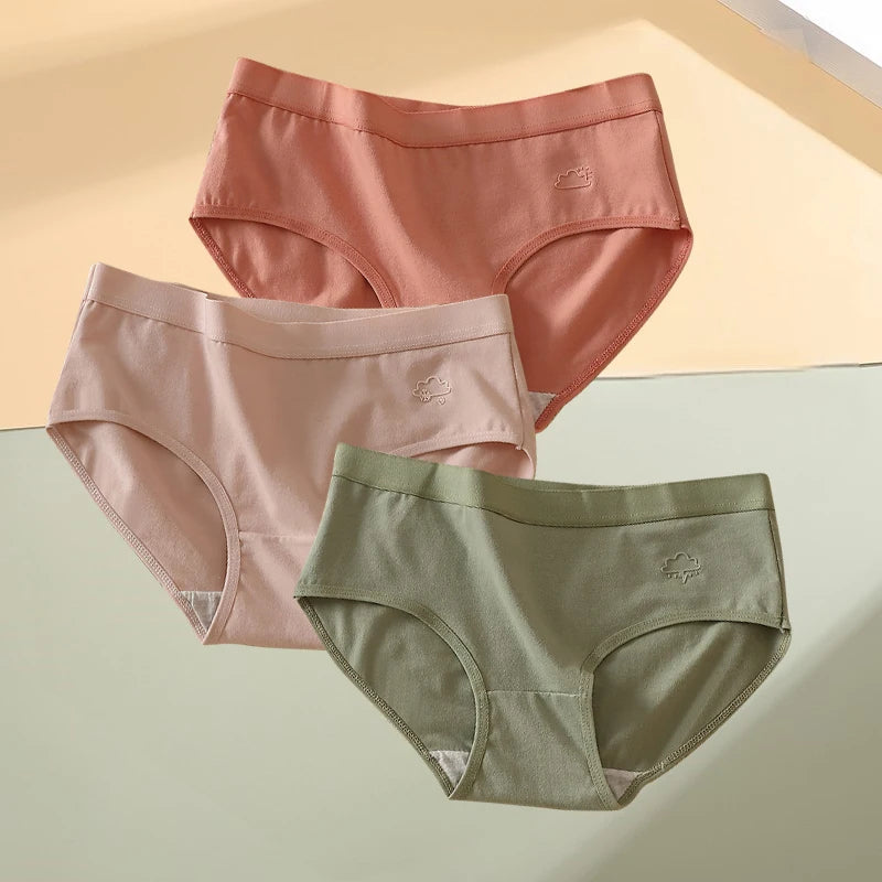 S970ed19a1dcc43aebcd29620c7c91adbI