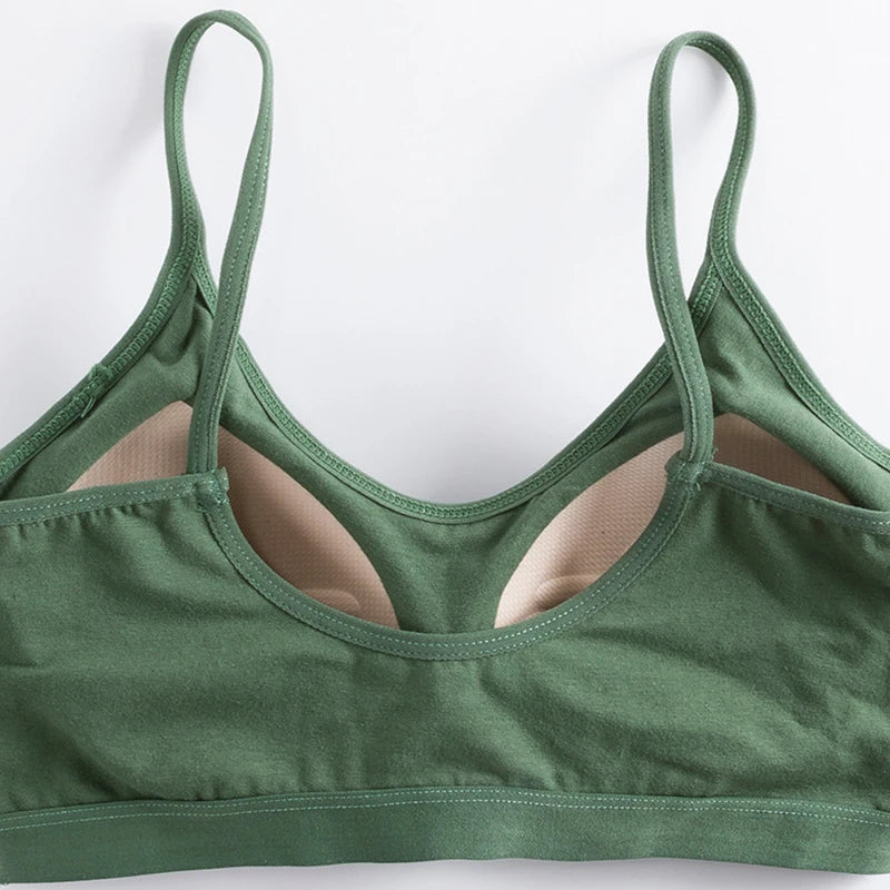 Sbc2c42dde45c42a7ad04cc9be13cbd372